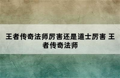 王者传奇法师厉害还是道士厉害 王者传奇法师